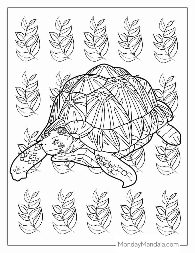 100+ Turtle Coloring Pages Free Printable Part 105