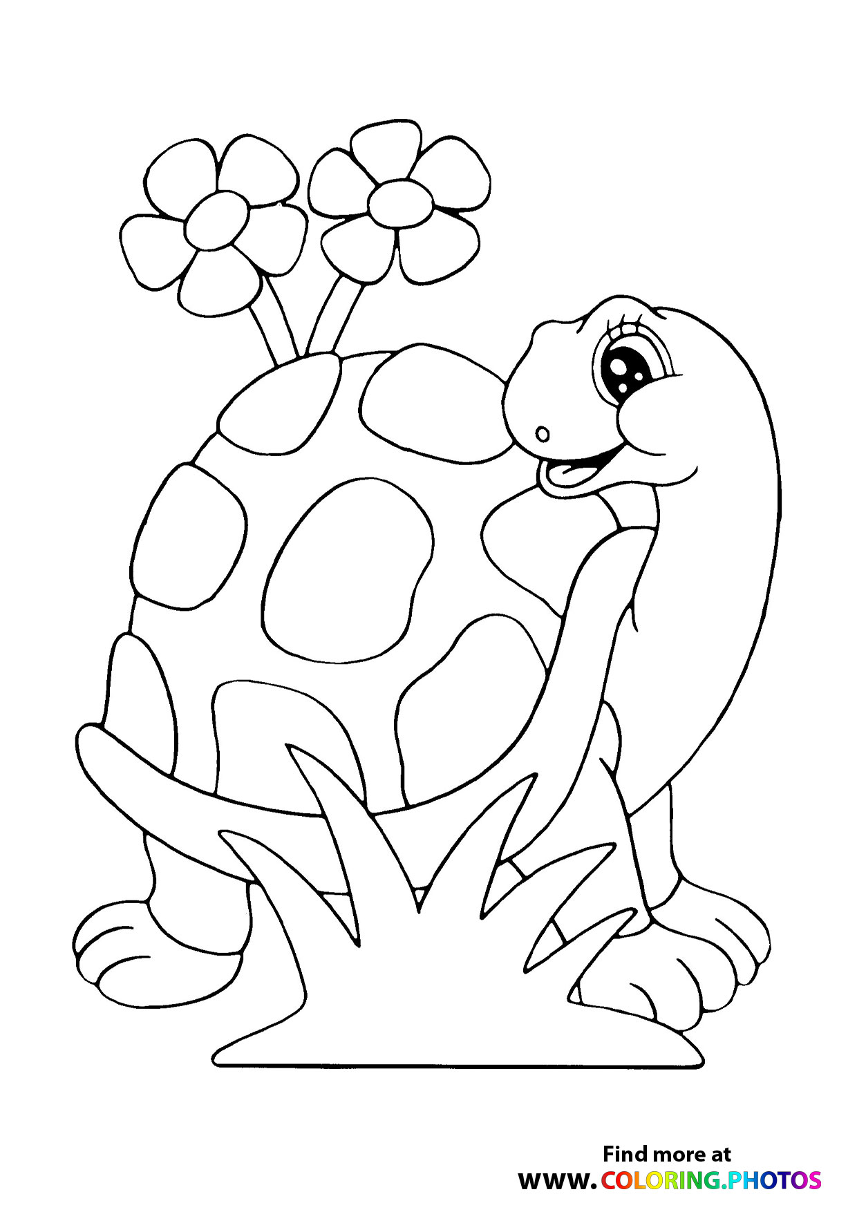 100+ Turtle Coloring Pages Free Printable Part 107