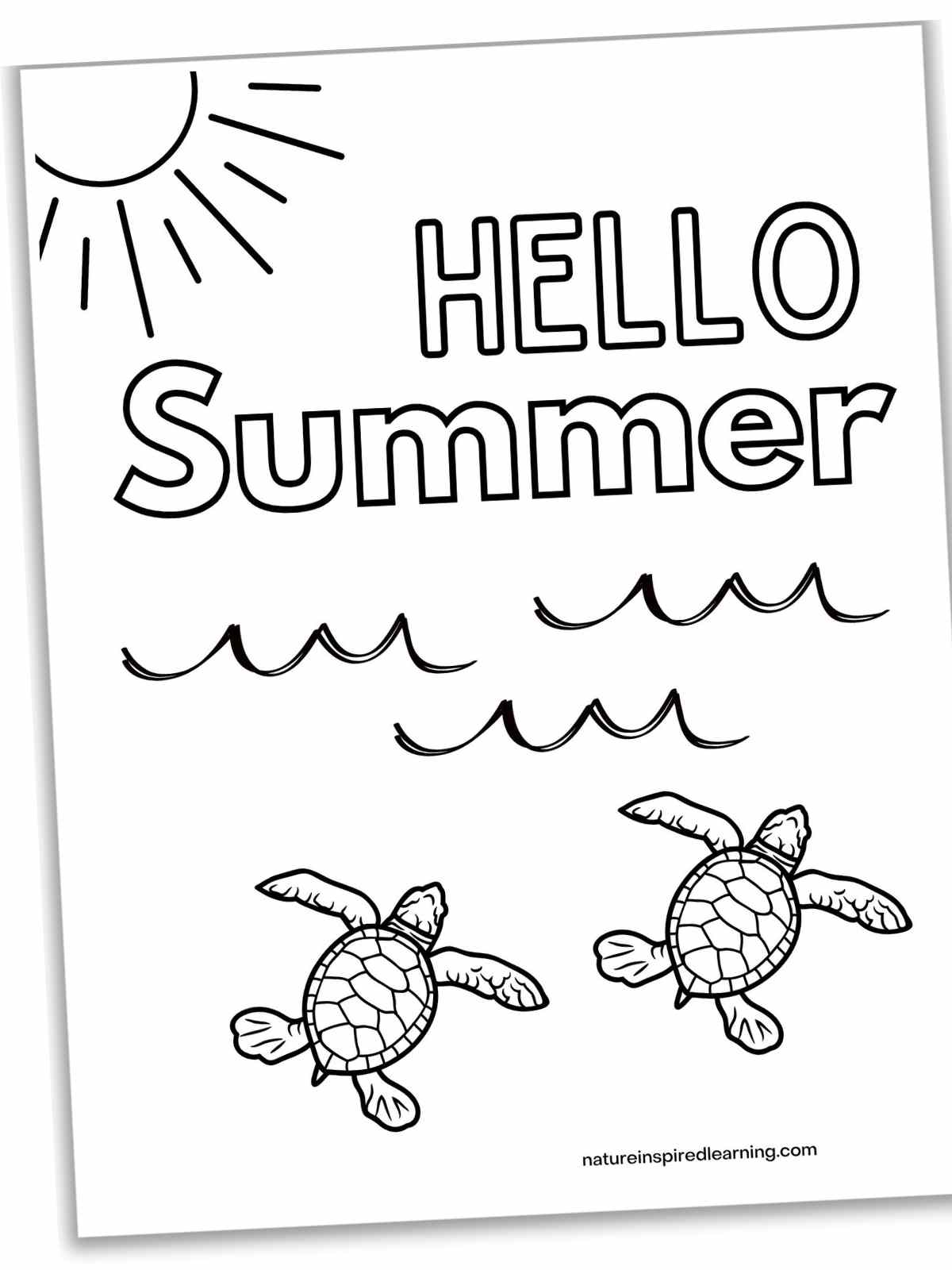 100+ Turtle Coloring Pages Free Printable Part 15