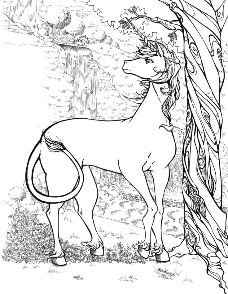 130+ Coloring Pages Horses Part 102