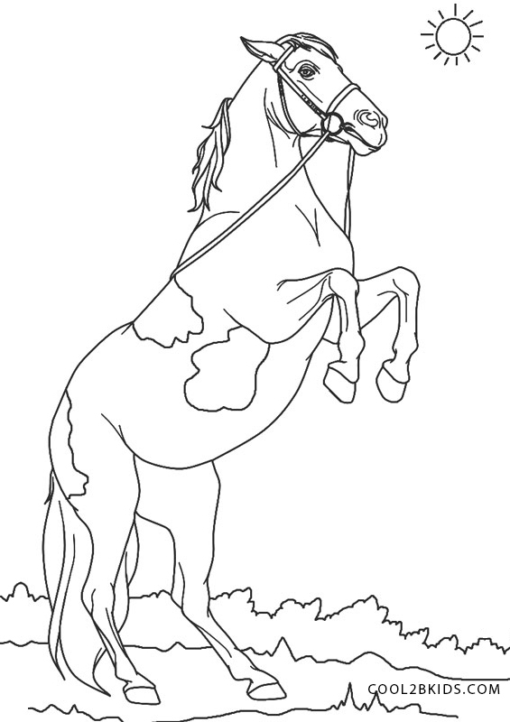 130+ Coloring Pages Horses Part 112