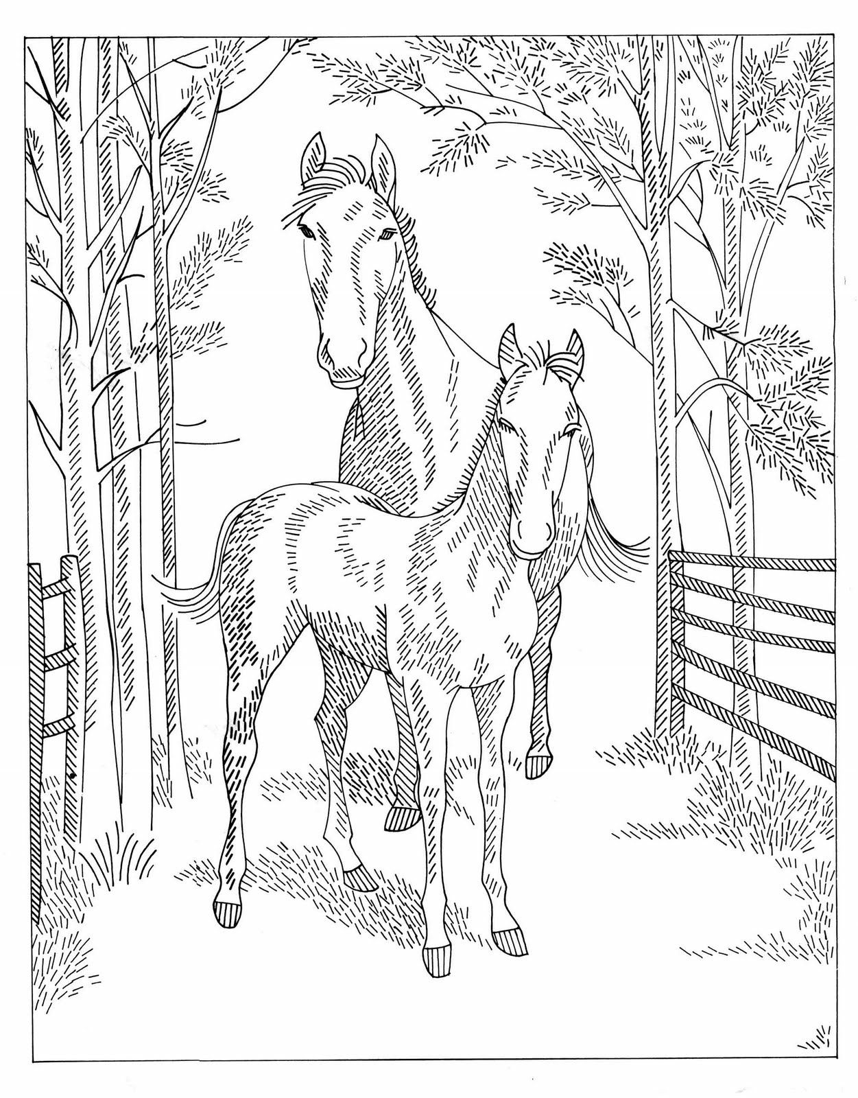 130+ Coloring Pages Horses Part 18