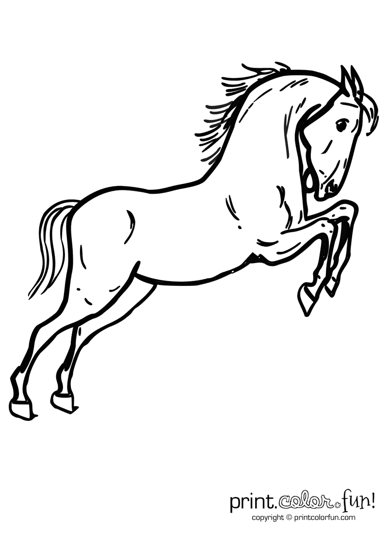 130+ Coloring Pages Horses Part 81