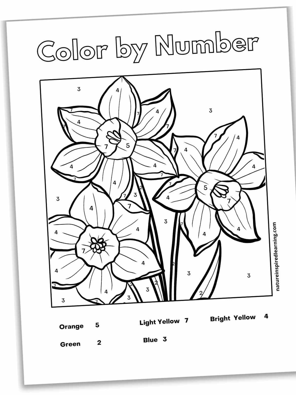 Color by Number: 150+ Engaging Adult Coloring Pages 28