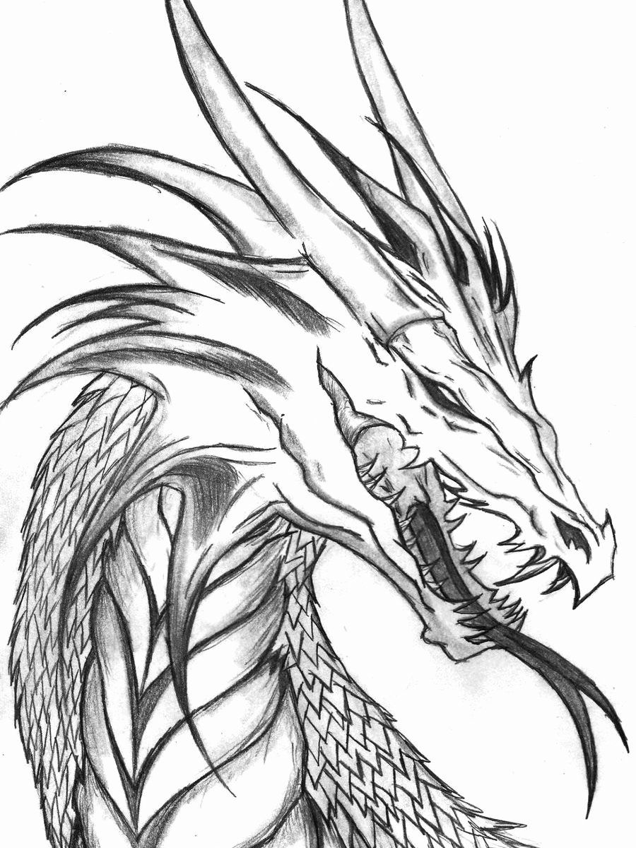 Dragon Coloring Pages Free Printable 133