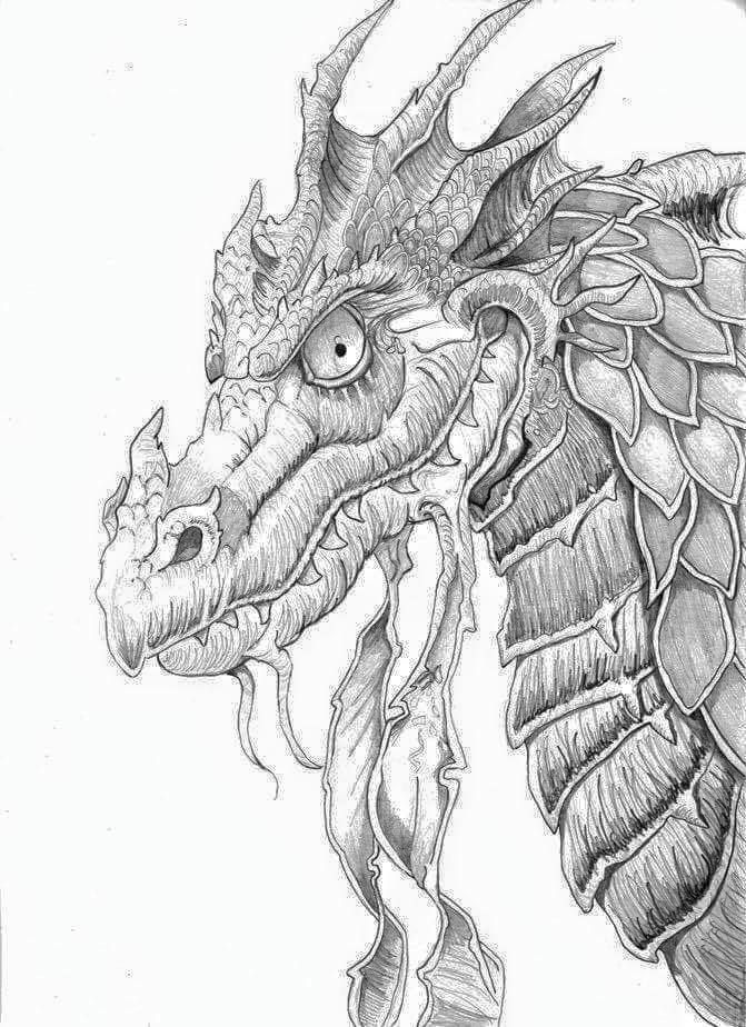 Dragon Coloring Pages Free Printable 139