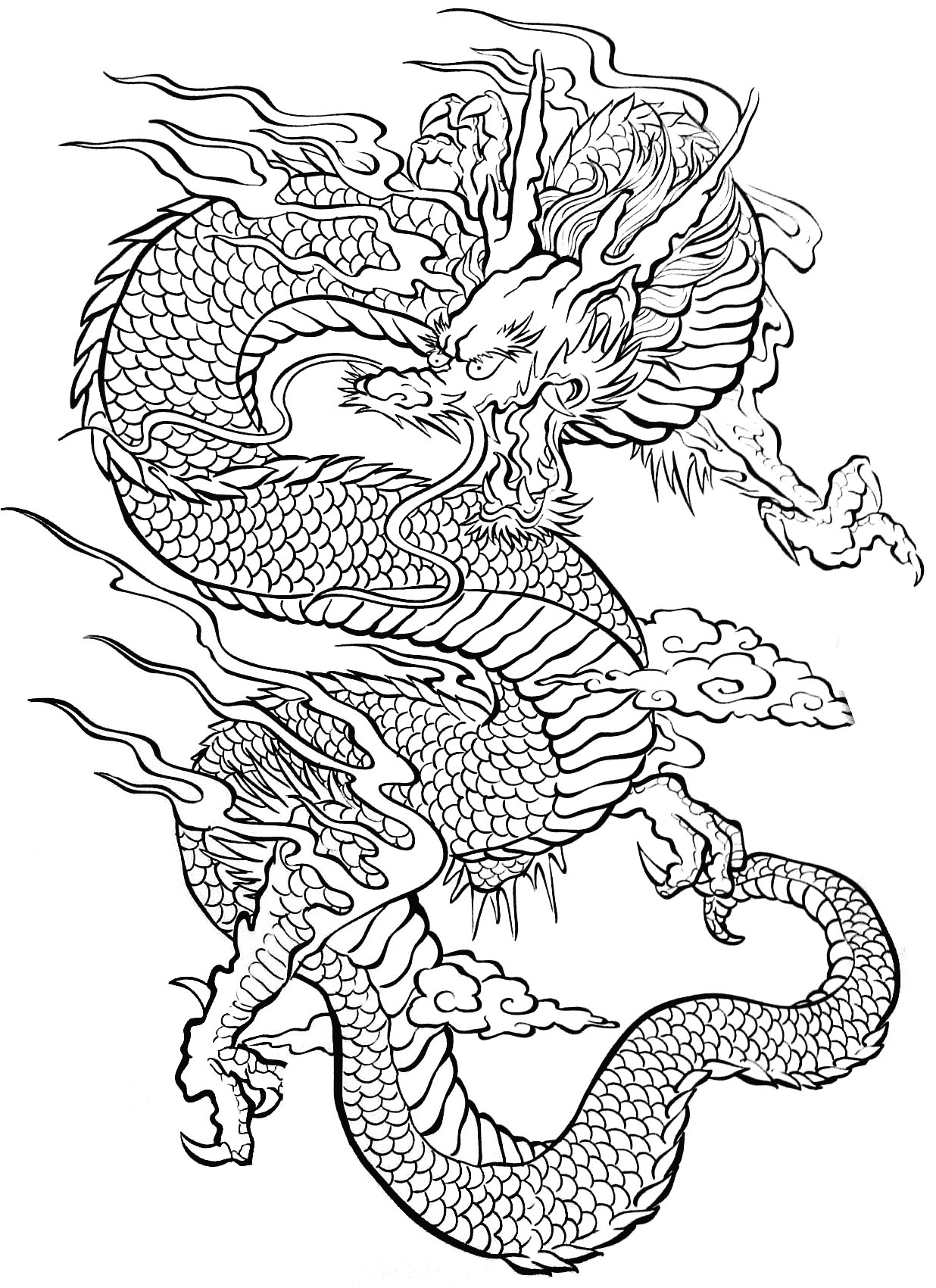 Dragon Coloring Pages Free Printable 158