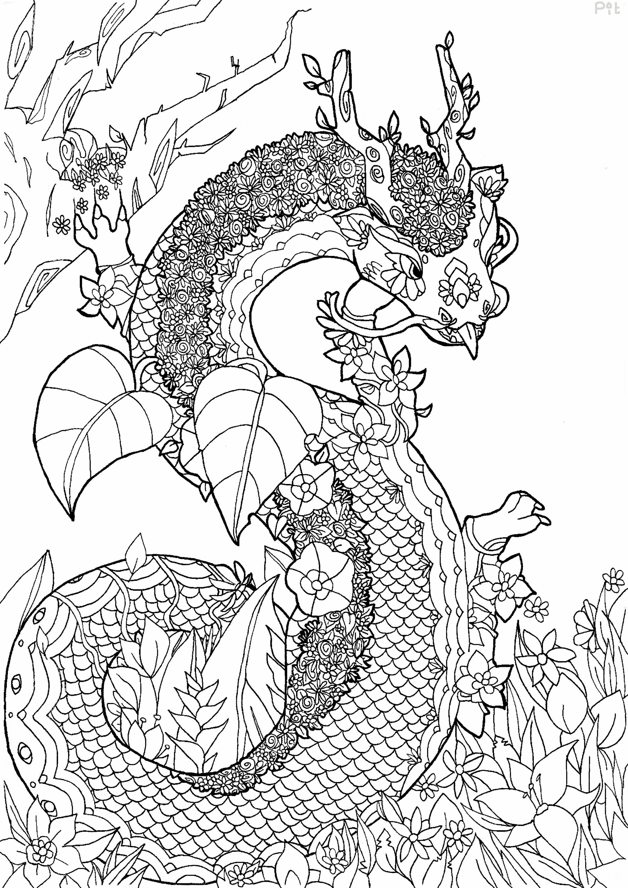 Dragon Coloring Pages Free Printable 164