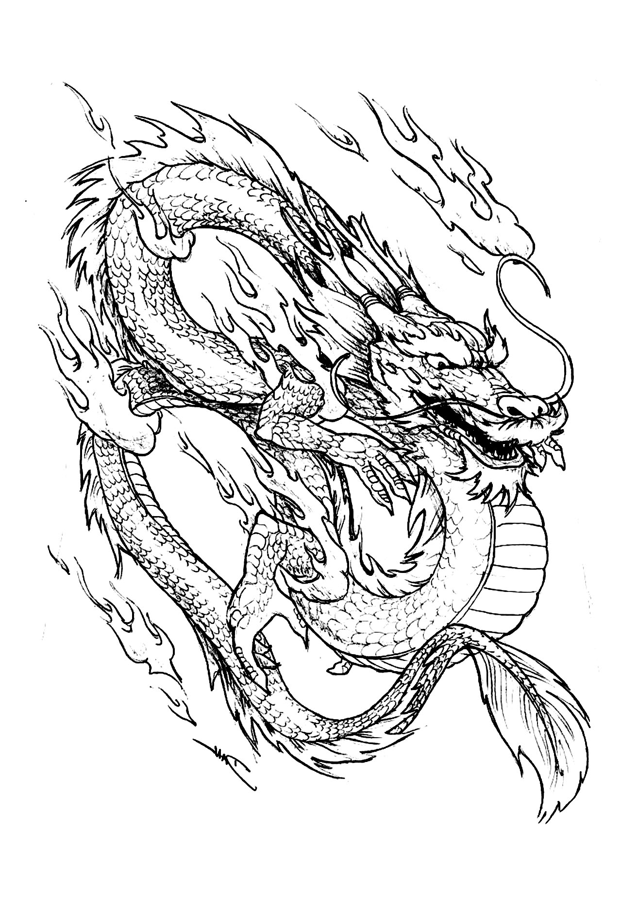 Dragon Coloring Pages Free Printable 187