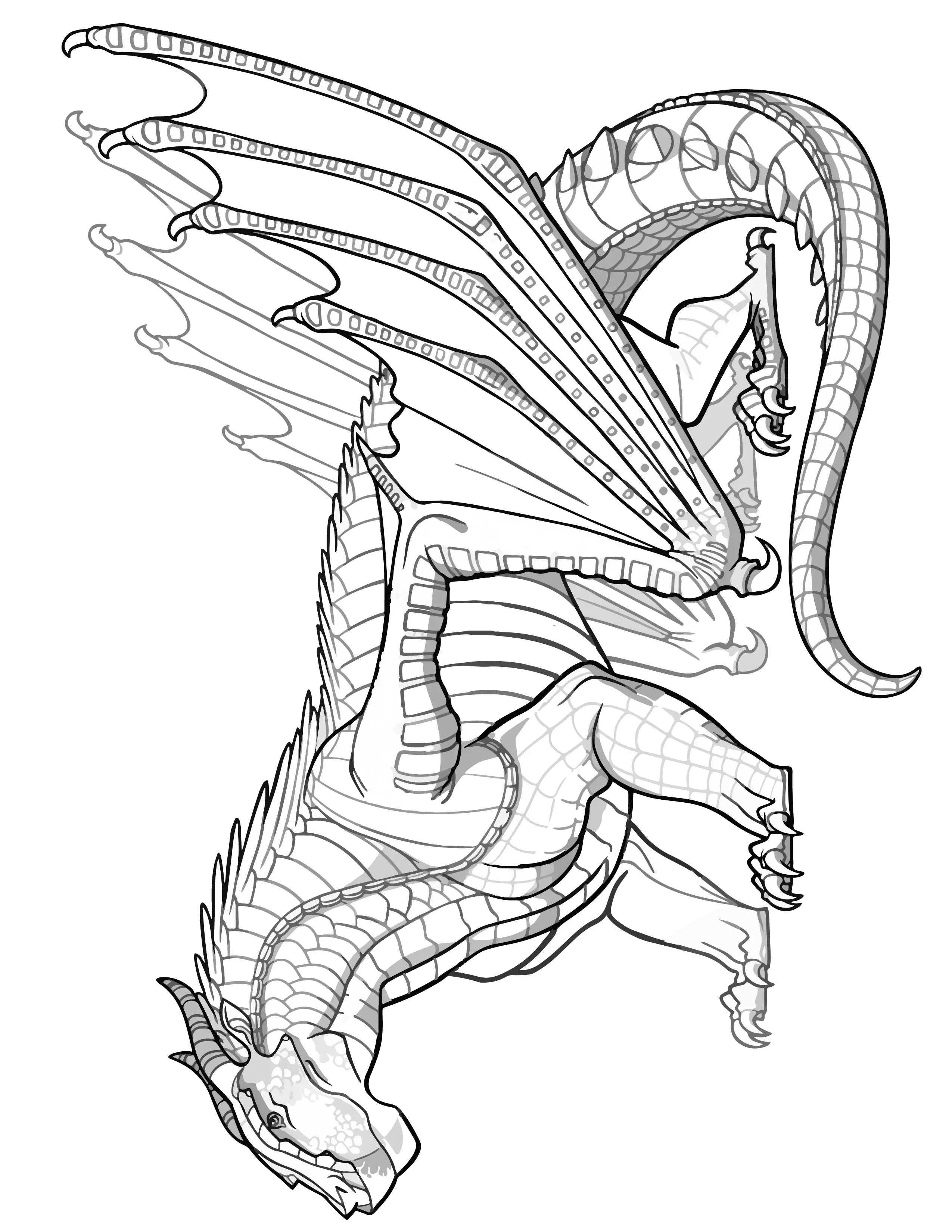 Dragon Coloring Pages Free Printable 188