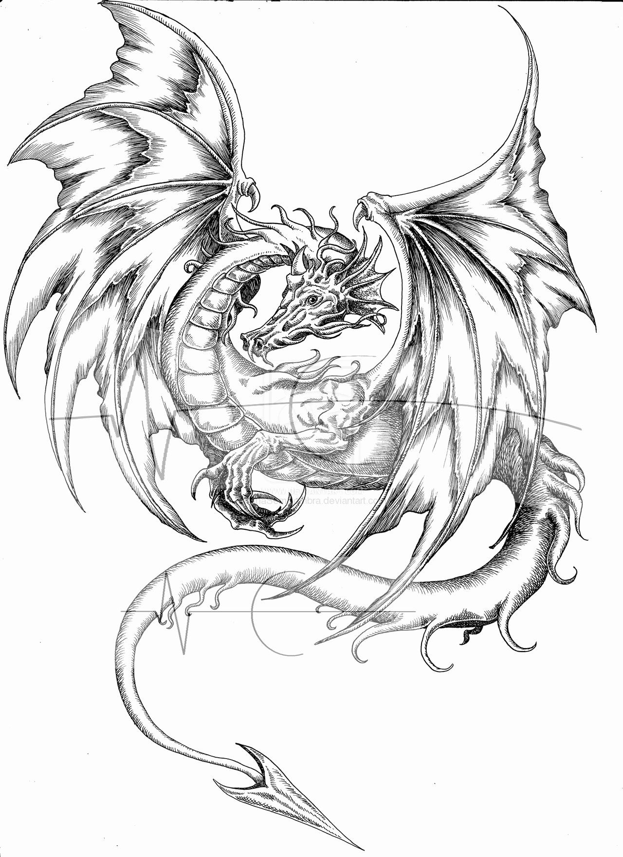 Dragon Coloring Pages Free Printable 189