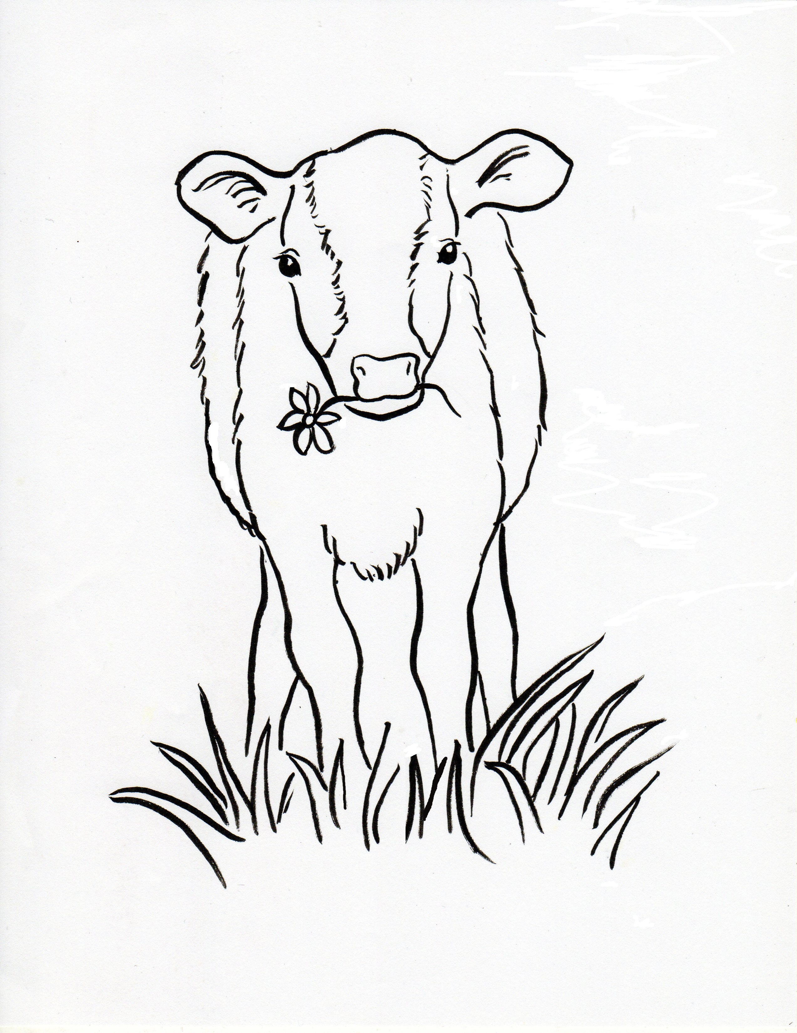 110+ Cow Coloring Pages 112