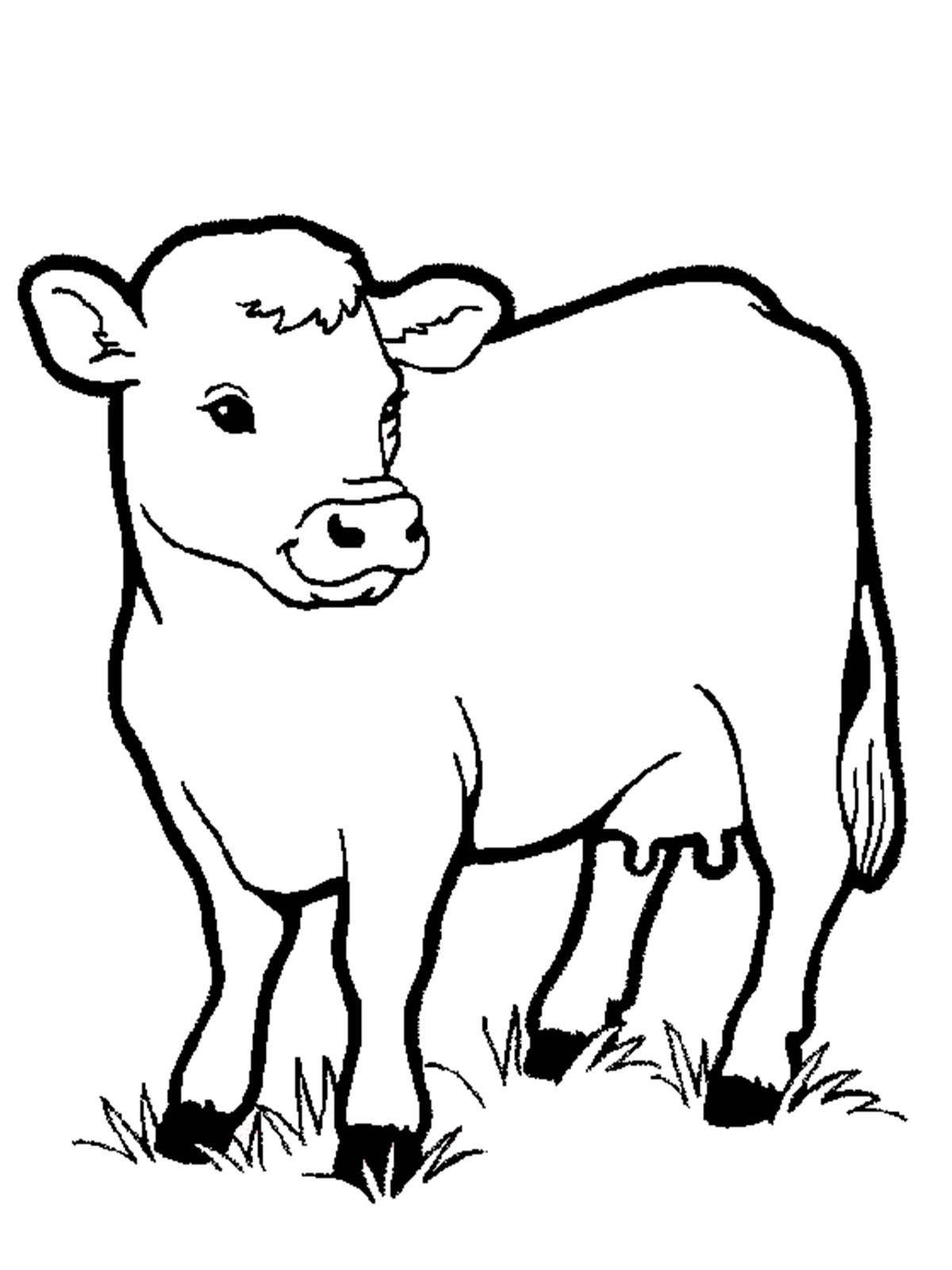 110+ Cow Coloring Pages 73