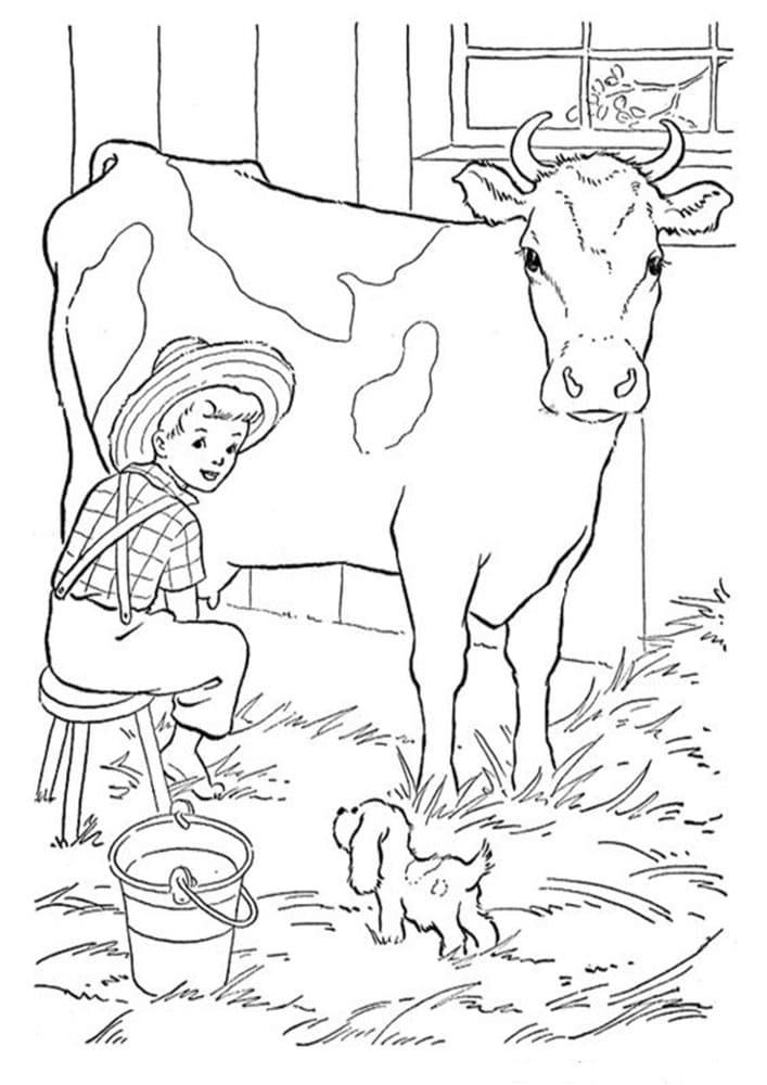 110+ Cow Coloring Pages 81