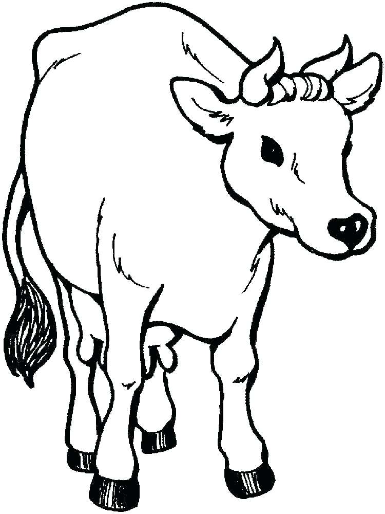 110+ Cow Coloring Pages 82