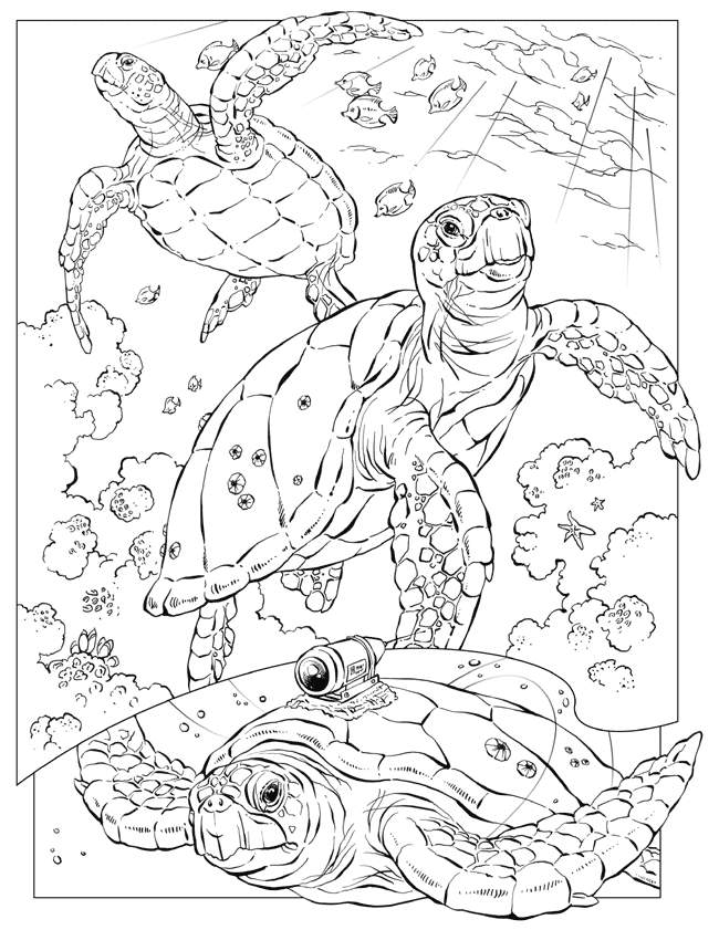 120+ Beach Coloring Pages 117