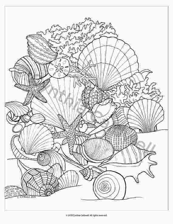 120+ Beach Coloring Pages 69