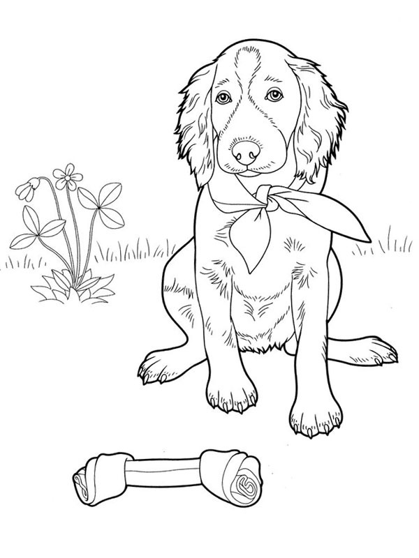 200+ Cute Dog Coloring Pages 120