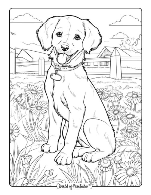 200+ Cute Dog Coloring Pages 156