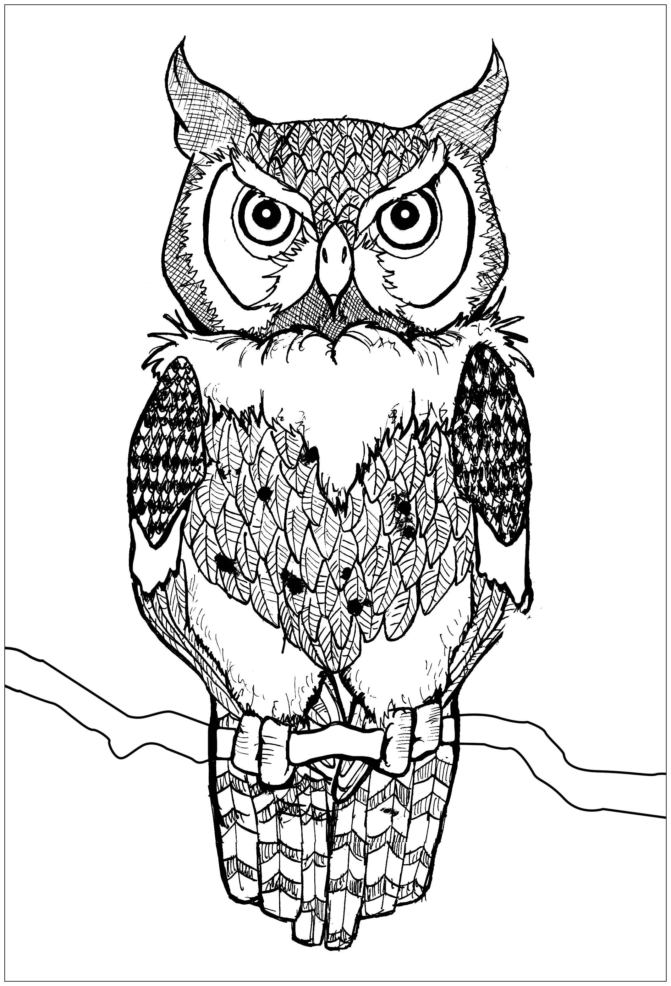 80+ Owl Coloring Pages: Wise and Wonderful 1