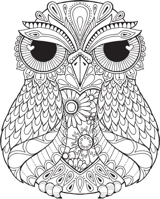 80+ Owl Coloring Pages: Wise and Wonderful 12