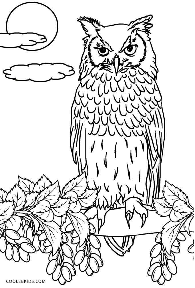 80+ Owl Coloring Pages: Wise and Wonderful 15