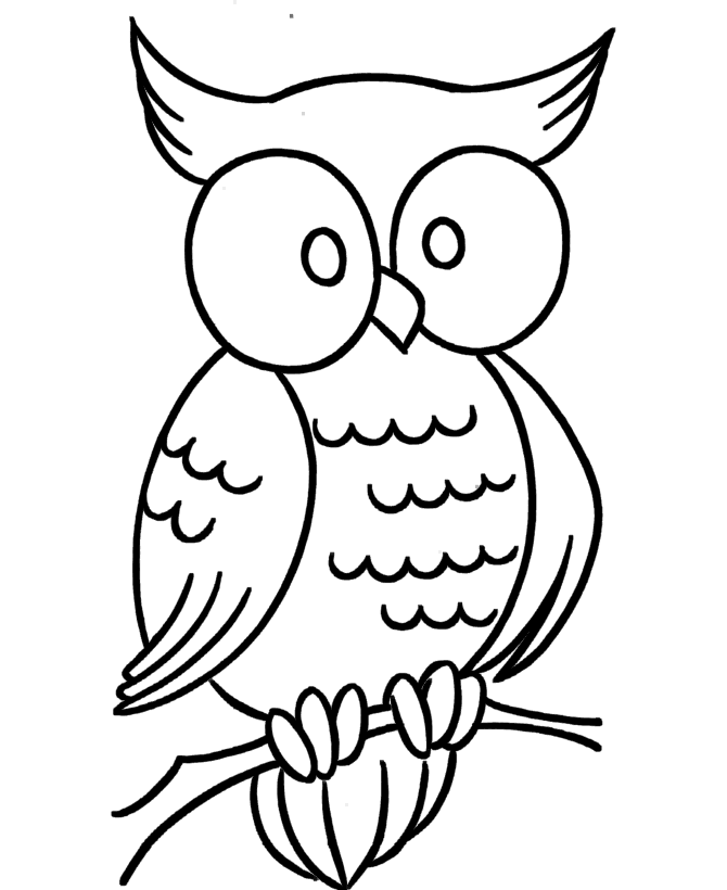 80+ Owl Coloring Pages: Wise and Wonderful 16