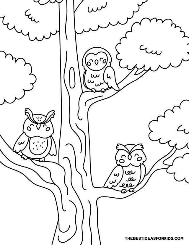 80+ Owl Coloring Pages: Wise and Wonderful 20