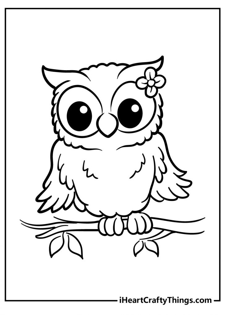 80+ Owl Coloring Pages: Wise and Wonderful 4