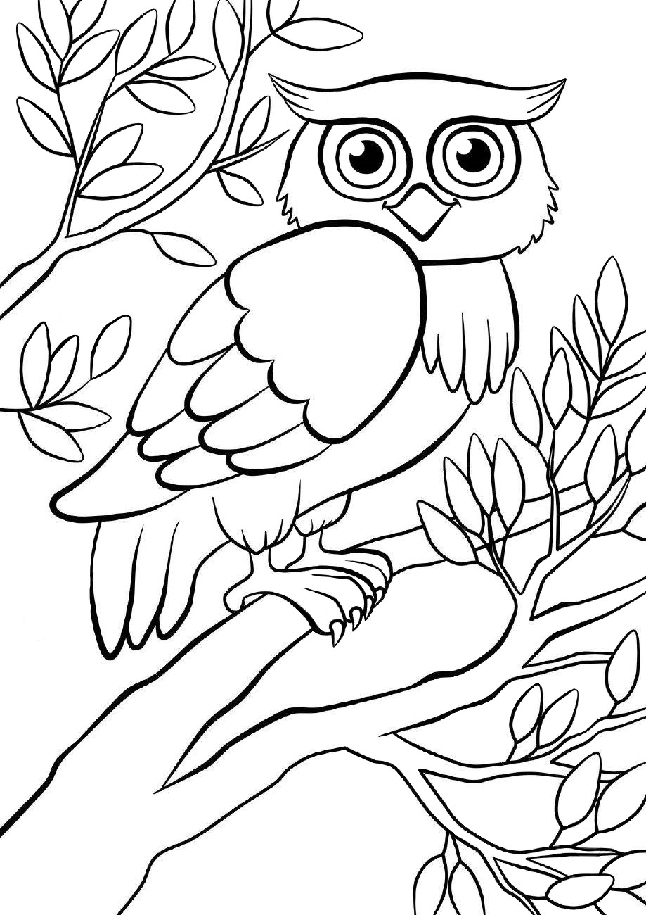 80+ Owl Coloring Pages: Wise and Wonderful 56