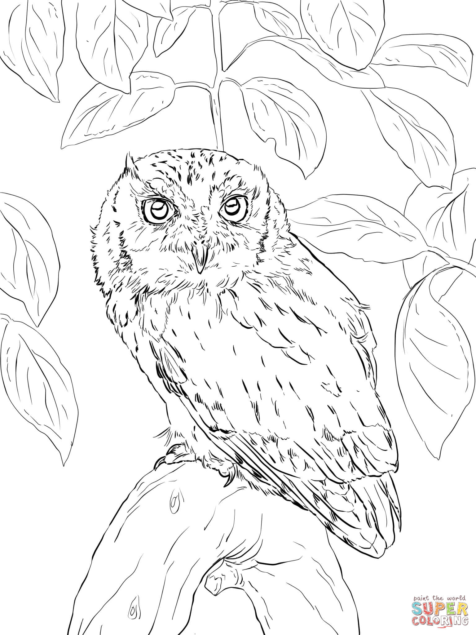 80+ Owl Coloring Pages: Wise and Wonderful 59