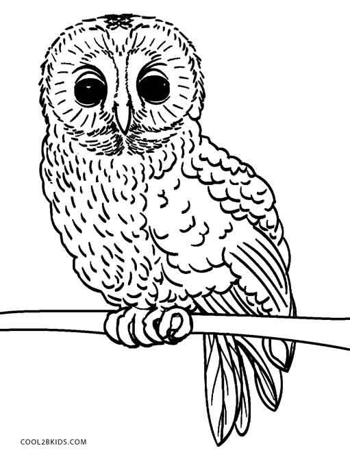 80+ Owl Coloring Pages: Wise and Wonderful 60