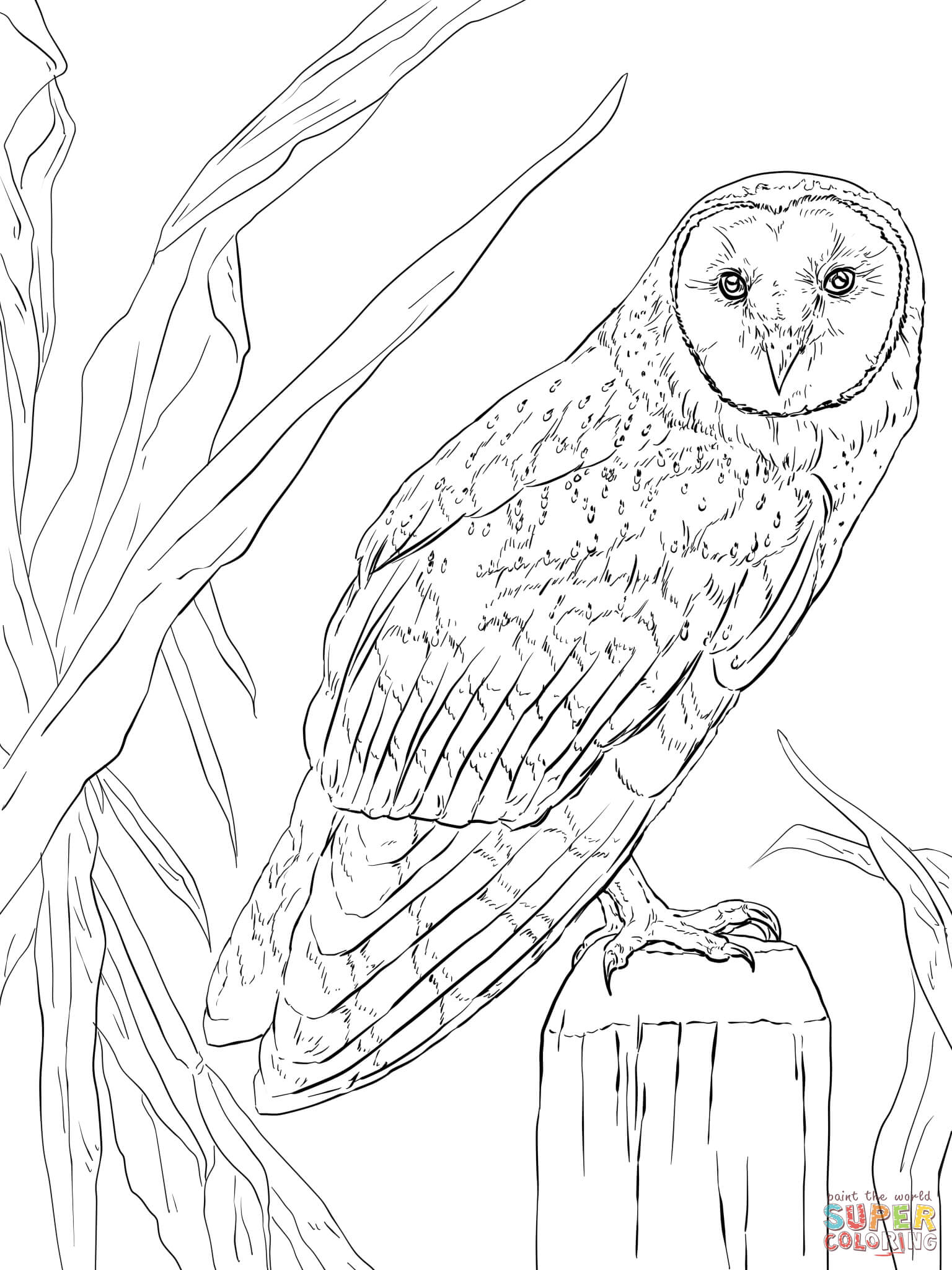 80+ Owl Coloring Pages: Wise and Wonderful 61