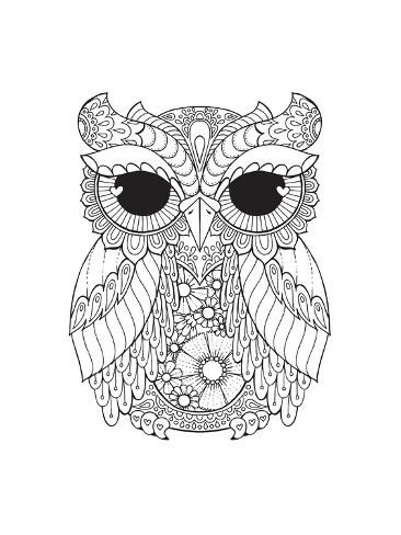 80+ Owl Coloring Pages: Wise and Wonderful 62