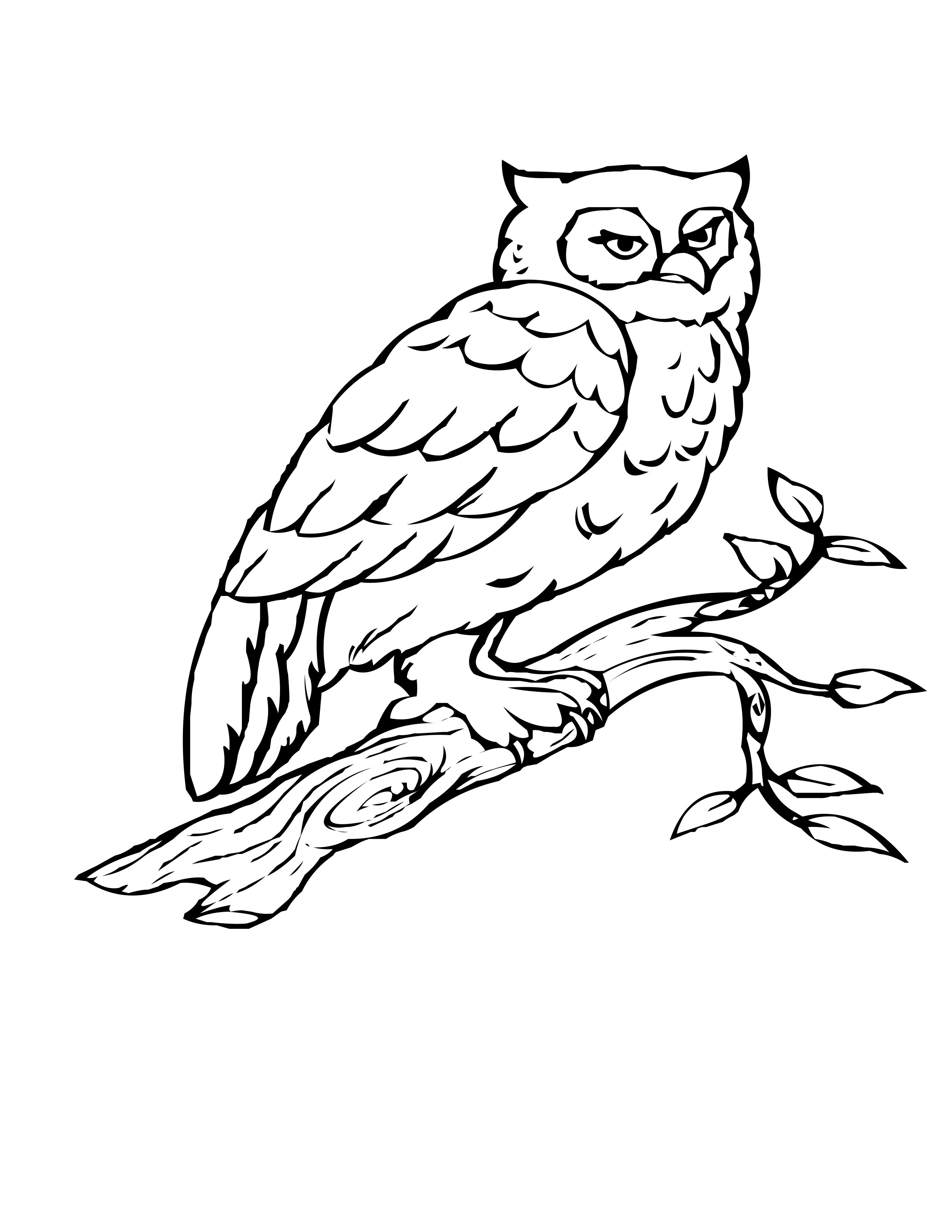 80+ Owl Coloring Pages: Wise and Wonderful 8