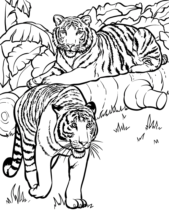 140 Cute Animals Coloring Pages FREE Printable 48