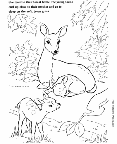 140 Cute Animals Coloring Pages FREE Printable 59