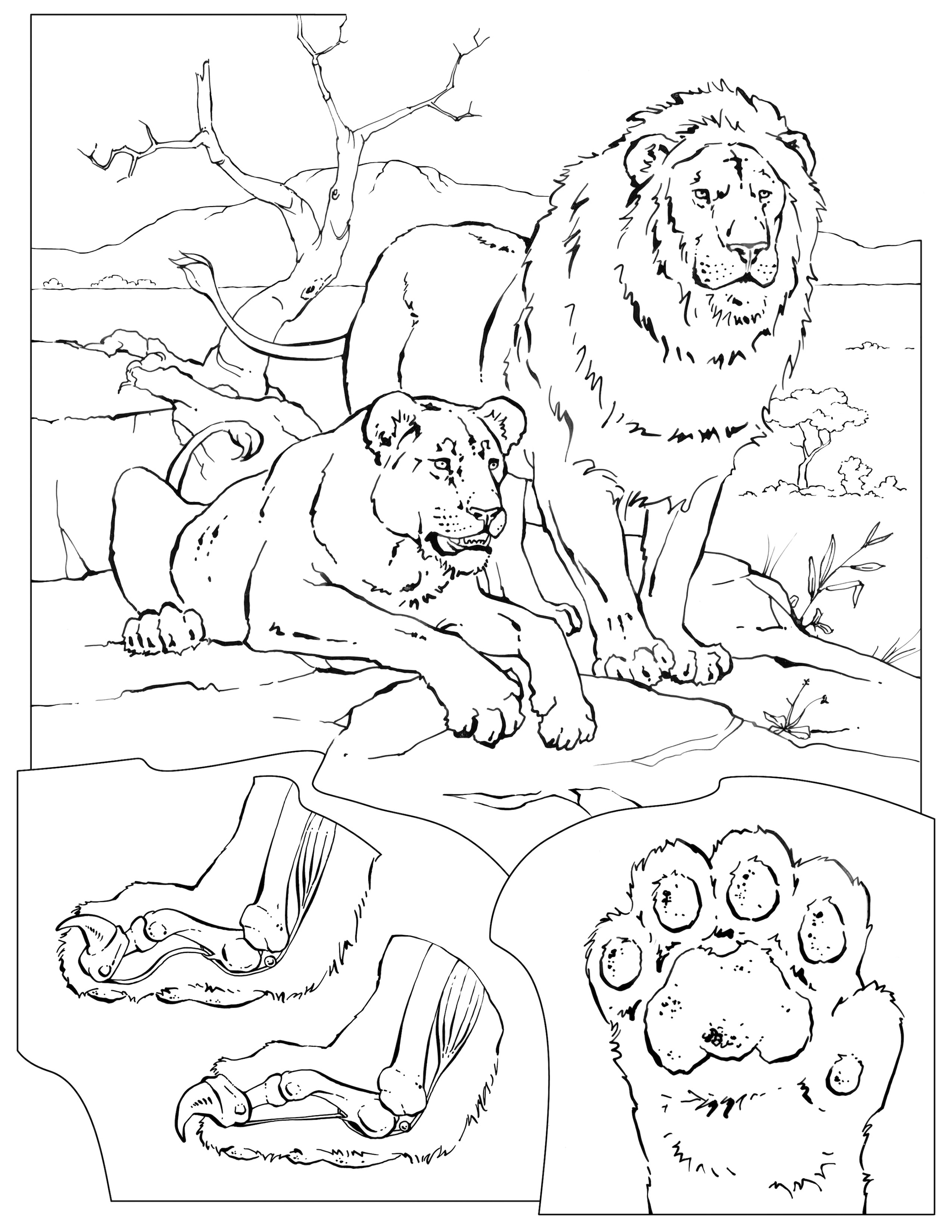 150 Lion Coloring Pages: Roaring Fun for Kids 152