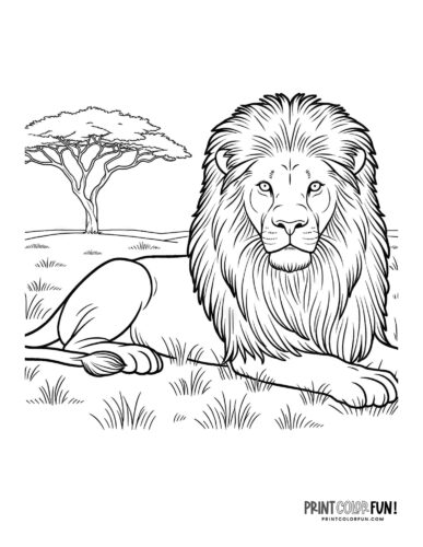 150 Lion Coloring Pages: Roaring Fun for Kids 30