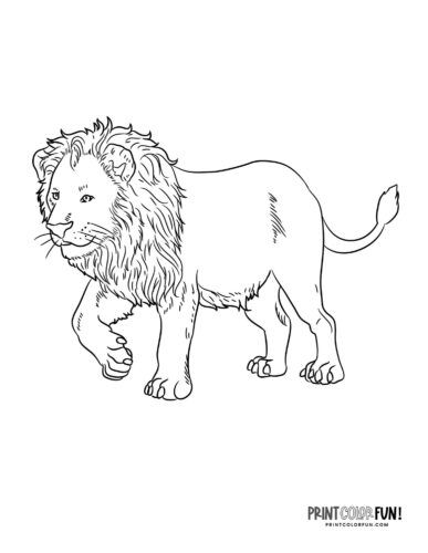 150 Lion Coloring Pages: Roaring Fun for Kids 31