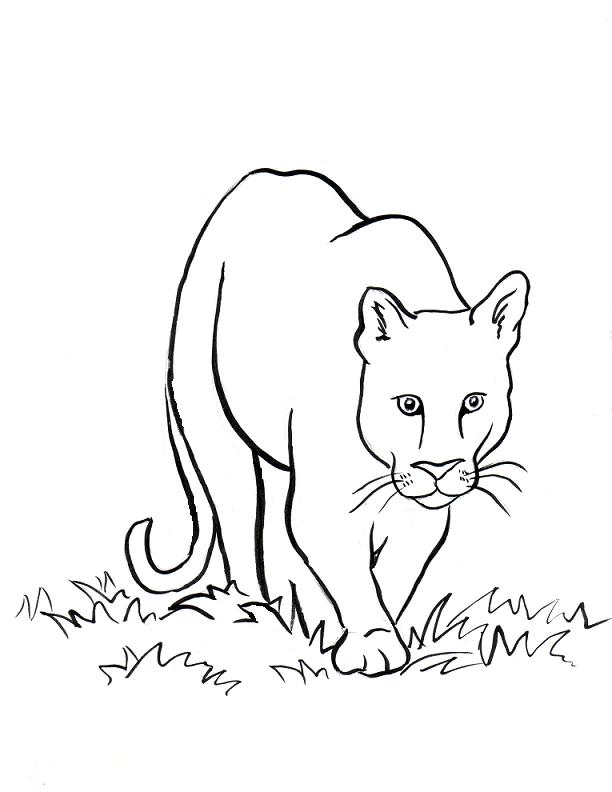 150 Lion Coloring Pages: Roaring Fun for Kids 69