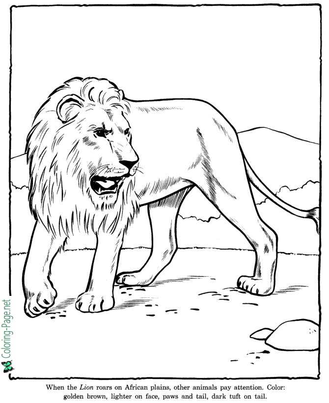 150 Lion Coloring Pages: Roaring Fun for Kids 79