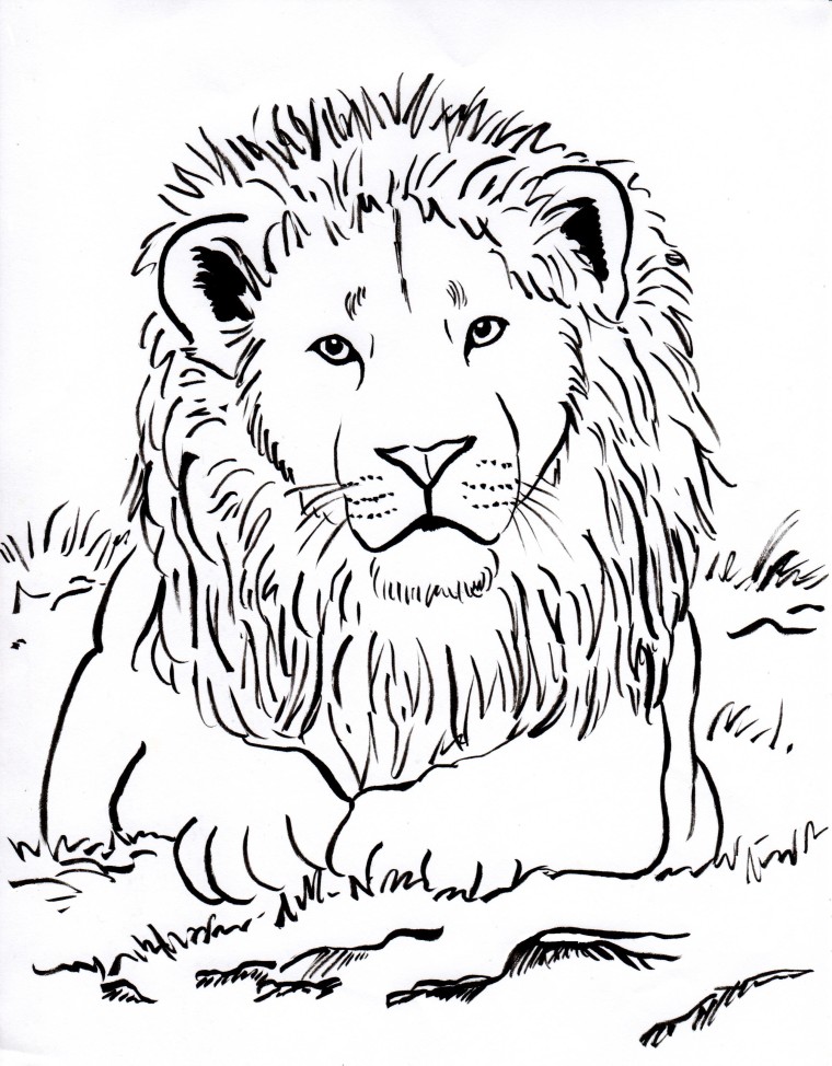 150 Lion Coloring Pages: Roaring Fun for Kids 88