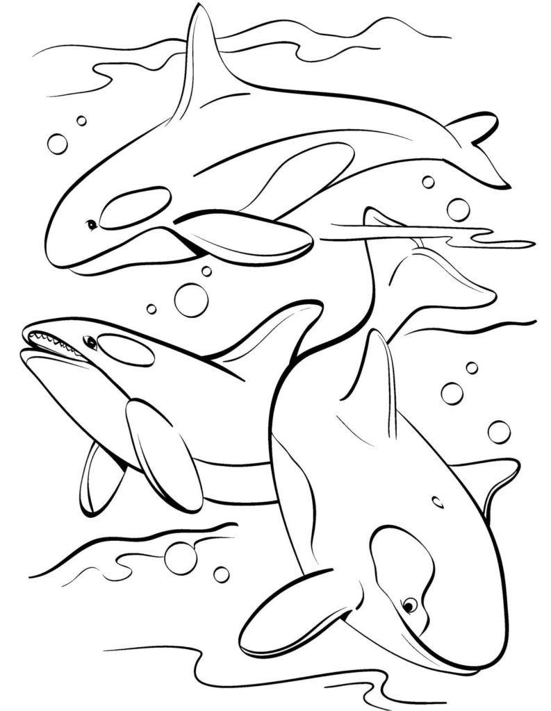 160+ Miami Dolphins Logo Coloring Pages Printable 102