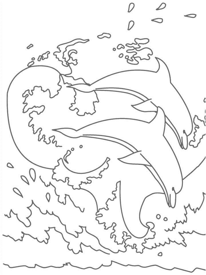 198 Dolphin Coloring Pages Free Printable 105