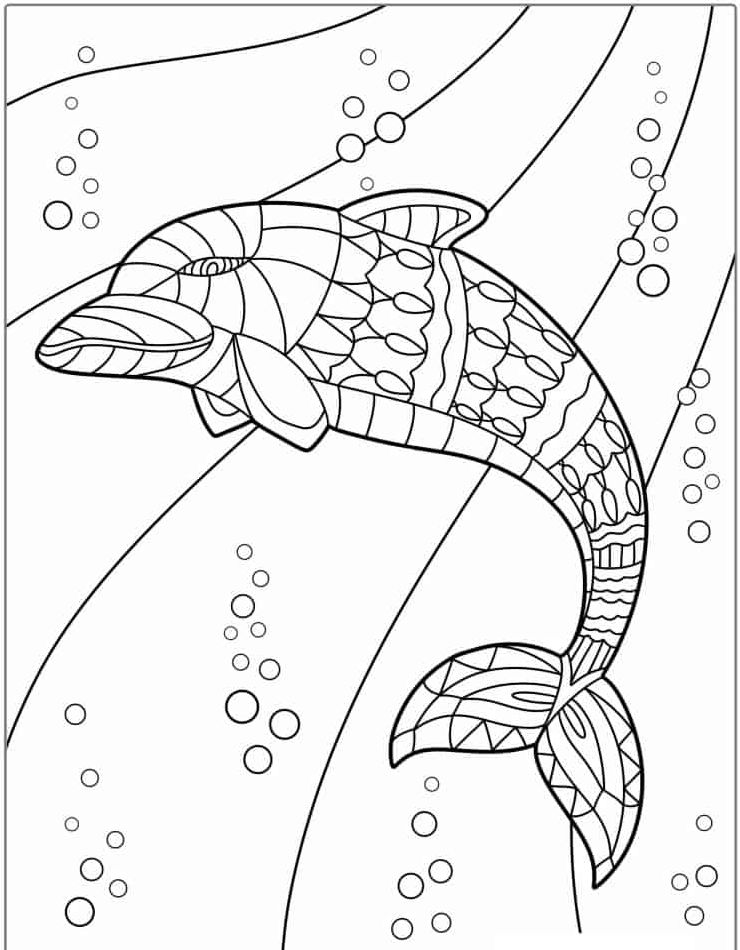 198 Dolphin Coloring Pages Free Printable 111