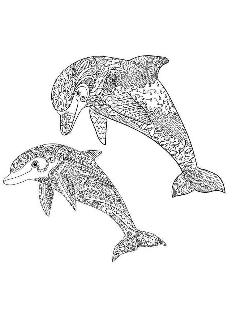 198 Dolphin Coloring Pages Free Printable 122