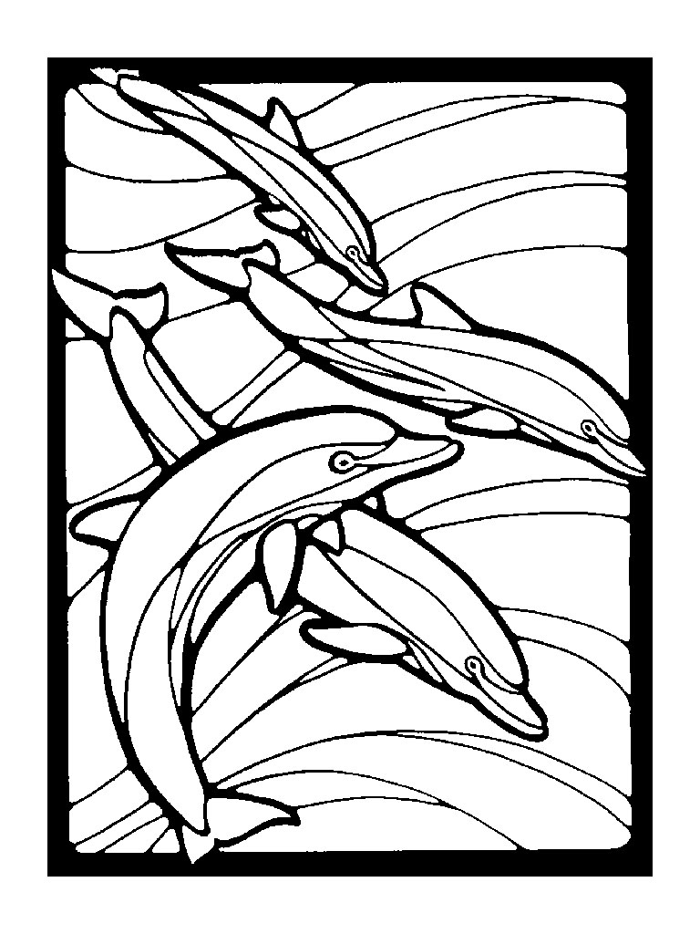 198 Dolphin Coloring Pages Free Printable 134