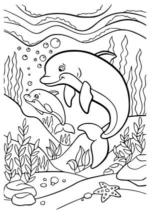 198 Dolphin Coloring Pages Free Printable 14