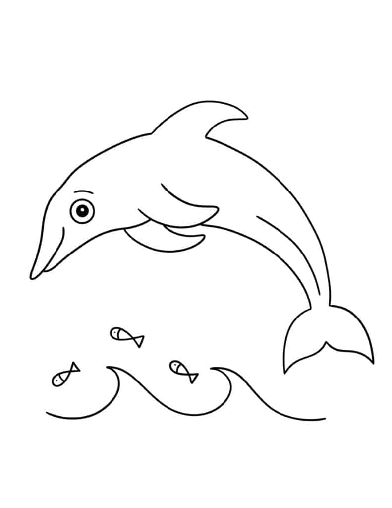 198 Dolphin Coloring Pages Free Printable 146